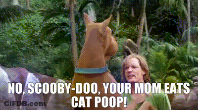 Scooby Doo Saying No Your Mom Eats Cat Poop GIF