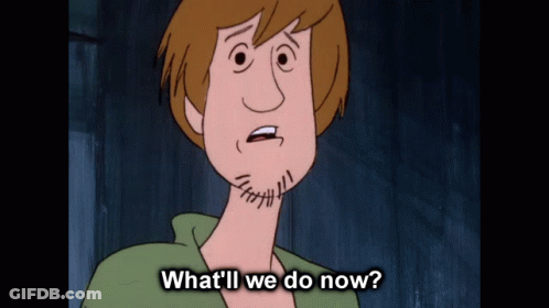 Scooby Doo Saying What'll We Do Now GIF