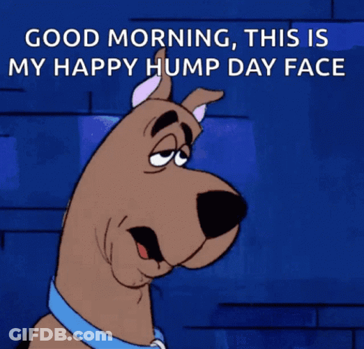 Scooby Doo Showing Sleepy Happy Hump Day Face GIF