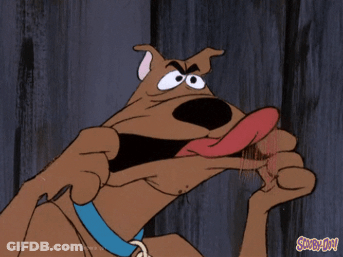 Scooby-Doo Silly Funny Cartoon GIF
