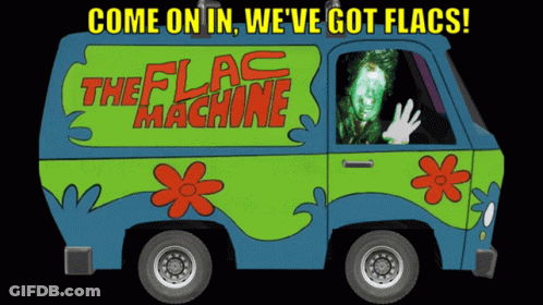 Scooby Doo Van Saying Come On In We've Got Flags GIF