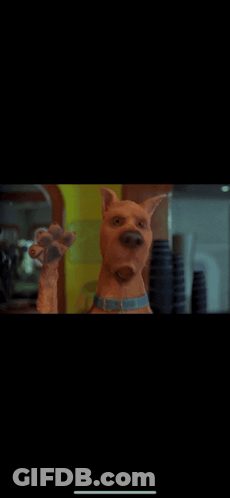Scooby Doo GIF