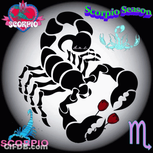 Scorpio Season GIF