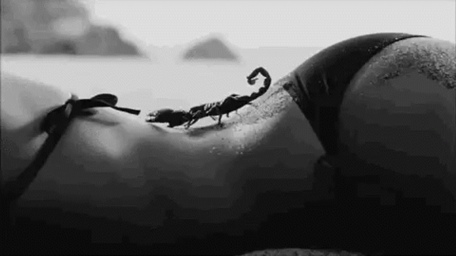 Scorpion Crawling On Body GIF