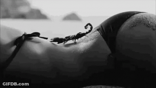 Scorpion Crawling On Woman's Back GIF