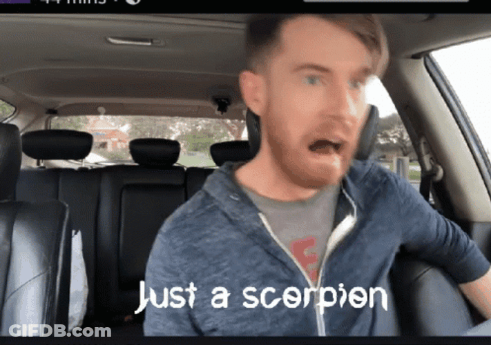 Scorpion Get Over Here Scared Man GIF