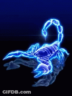 Scorpion Glowing In The Dark Blue Background GIF