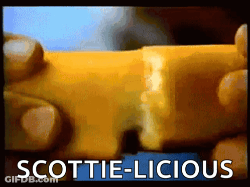 Scottie-Licious Advertisement With Yellow Object GIF