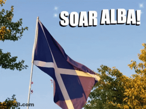 Scottish Flag Flying In Wind Saying Soar Alba GIF