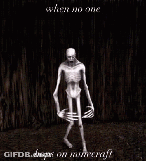 SCP Hop On Minecraft Guy GIF