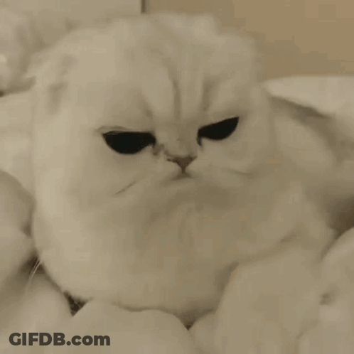 Scram Written On Face GIF