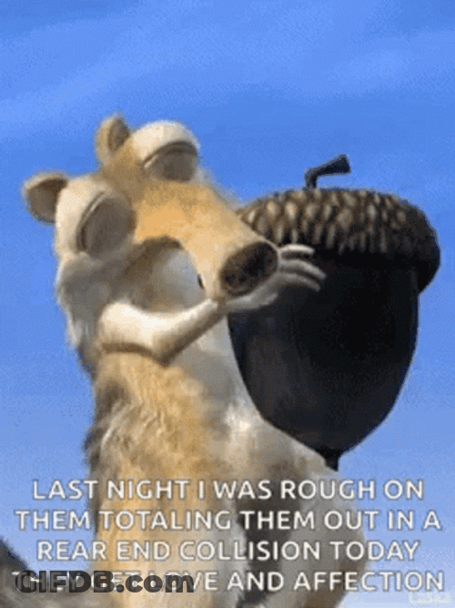 Scrat Affection To Acorn GIF