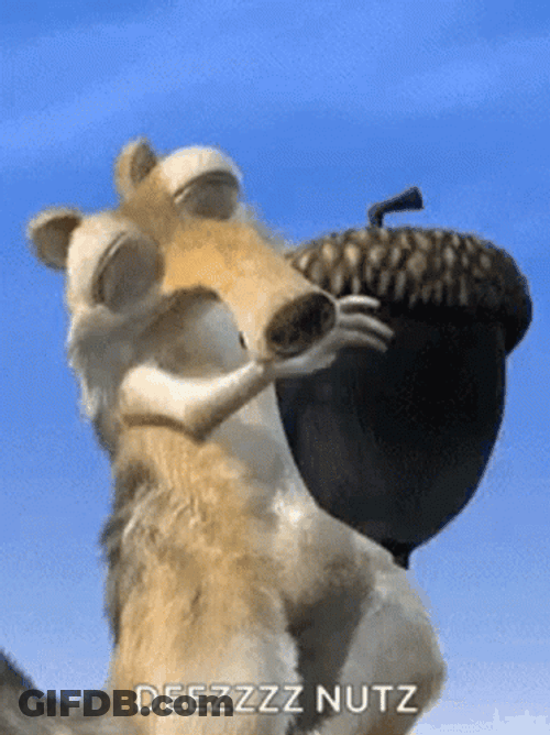 Scrat Rubbing His Acorn GIF