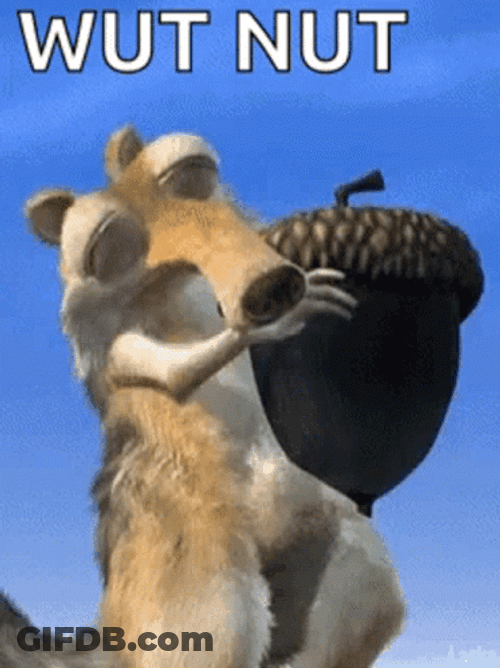 Scrat What Nut Acorn GIF