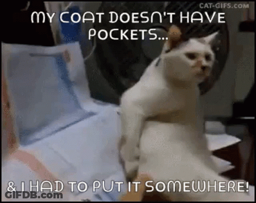 Scratch Cat GIF