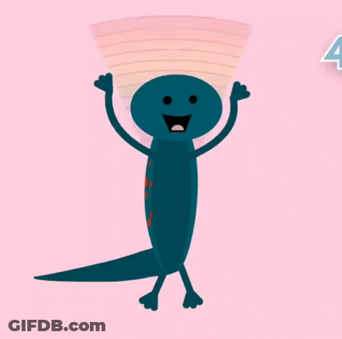 Scratch Garden GIF