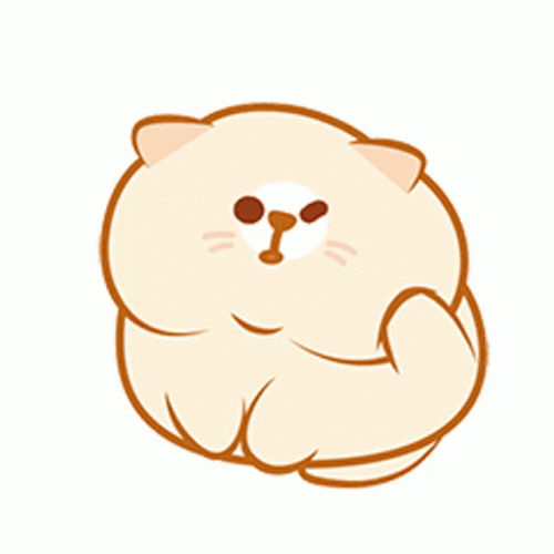 Scratches Head Cartoon Chubby Cat GIF
