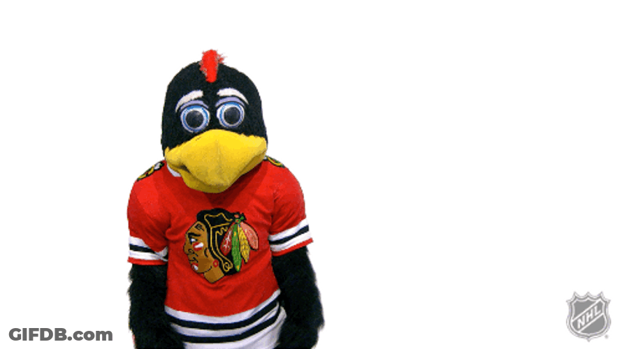 Scratching Head Bird Mascot GIF