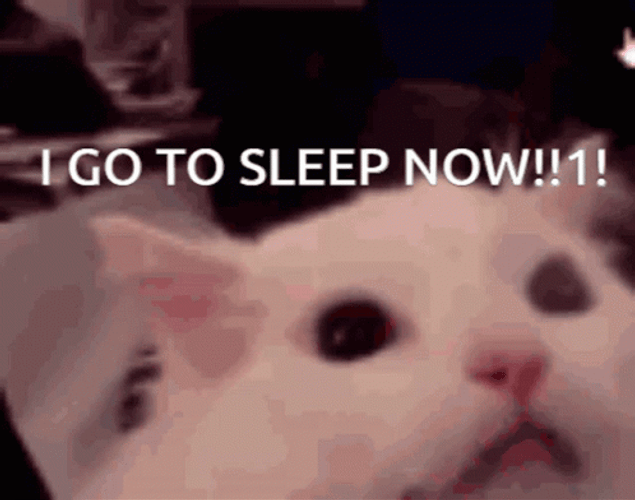 Screaming Cat Go To Sleep Now GIF