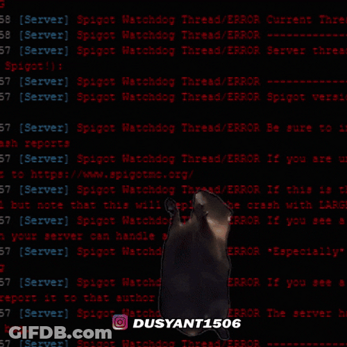 Screaming Cat Meme On Coding GIF