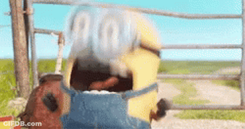 Screaming King Bob Panicking GIF