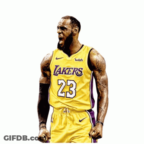 Screaming Lebron Missing Dunk GIF