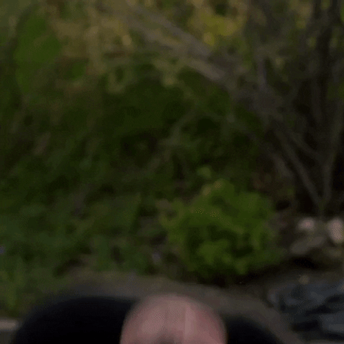 Screaming Man Headbanging GIF