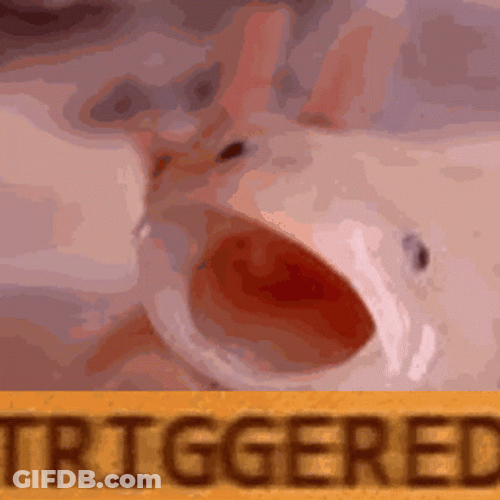 Screaming Triggered Axolotl Meme GIF