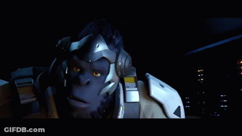 Screen Saying Initiate Overwatch Recall Y N GIF
