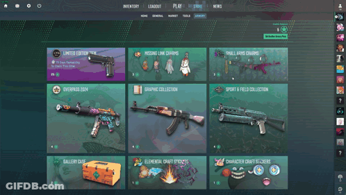 Screenshot Of Video Game Limited Edition Item GIF