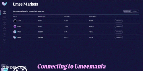 Screenshot Saying Connecting To Umeemania GIF