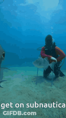 Scuba Diver And Fish With Get On Subnautica GIF