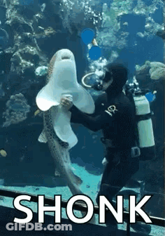 Scuba Diver Petting Shark In Aquarium Saying Shonk GIF