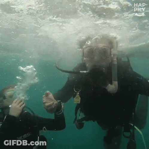 Scuba Diver Wearing 'A' Tag Underwater GIF
