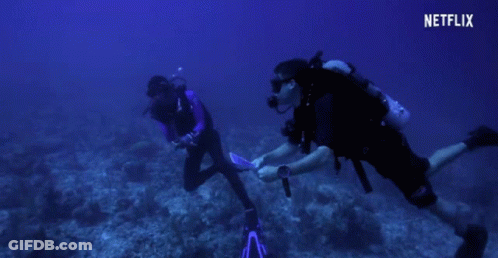 Scuba Divers Holding Hands With Netflix Logo GIF