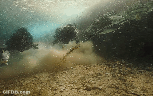 Scuba Divers Swimming Underwater GIF