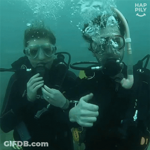 Scuba Diving Thumbs Up GIF
