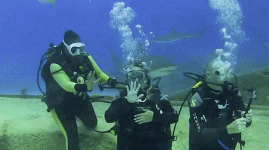 Scuba Diving Waving Groufie Sharks GIF