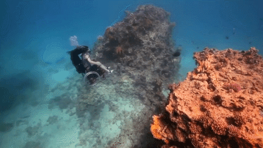 Scuba Diving Wheelchair Girl Artist GIF