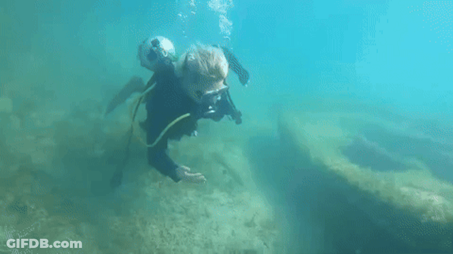 Scuba Steve Bubbles GIF