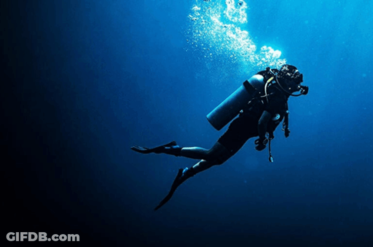 Scuba Steve Cool Image GIF