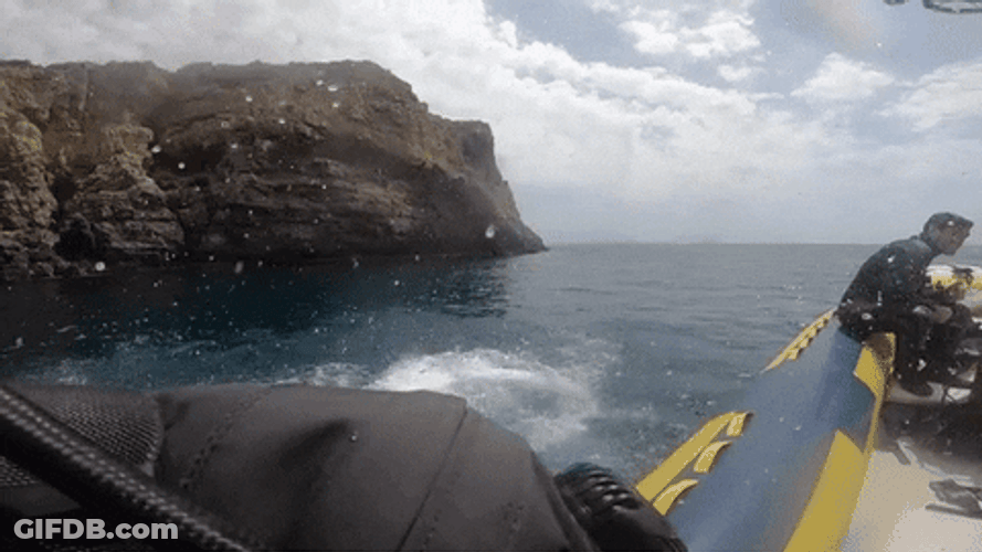 Scuba Steve Goes Back To The Boat GIF