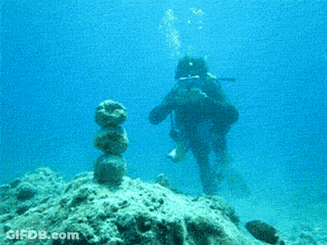 Scuba Steve Playing Under The Sea GIF