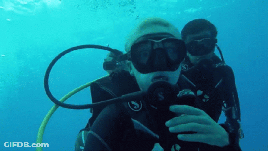Scuba Steve Pointing GIF