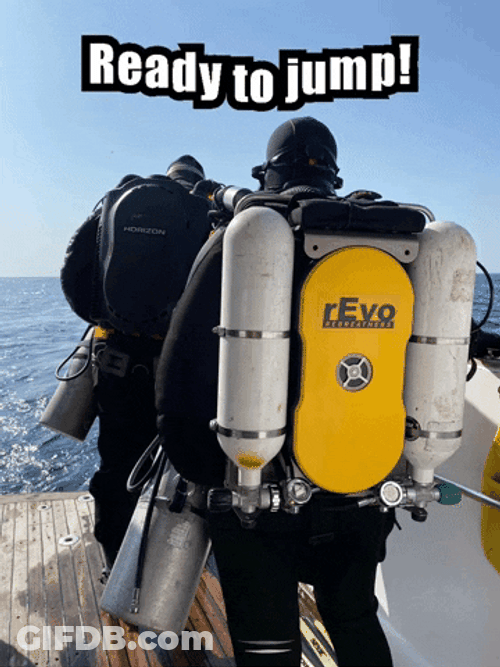 Scuba Steve Ready To Jump GIF