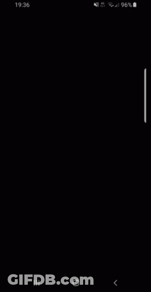 Scuba Steve Suddenly Turned Around GIF