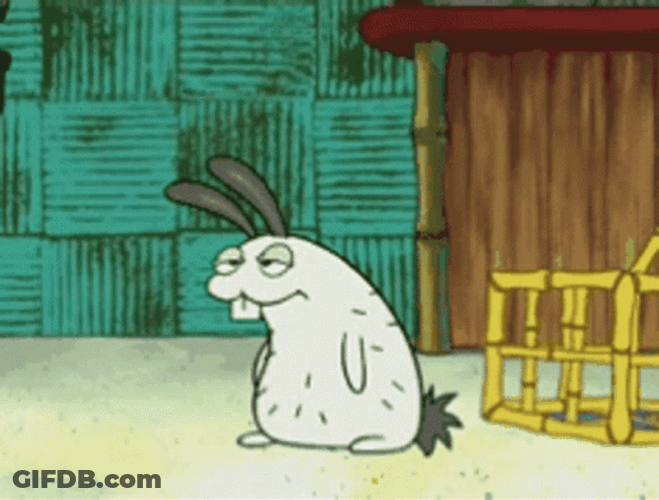 Sea Bunny Starving GIF