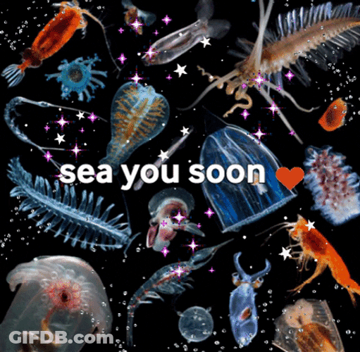 Sea Creatures See You Soon GIF