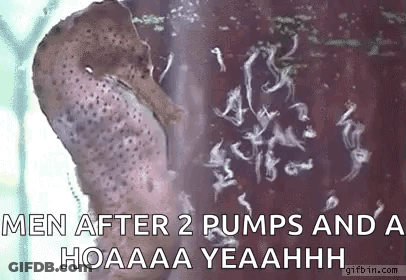 Sea Horse Babies GIF
