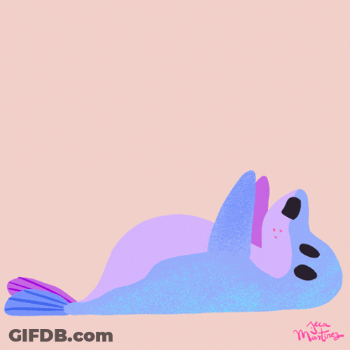 Sea Lion Doing Morning Exercise To Have Good Abs GIF